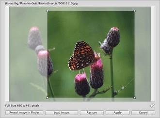 Tile preview and edit
