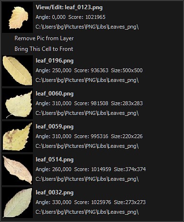 Main Image Popup Menu.